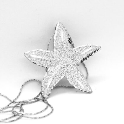 Ciondolo in alluminio Stella Piatta : brillante ciondolo ispirato alle bellezze del mare | Shadi | shadialfazaa.com