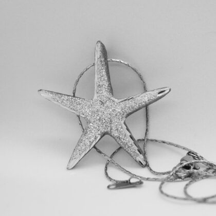 Ciondolo in alluminio Stella Marina : classica stella marina che porterà il mare sempre con te | Shadi | shadialfazaa.com