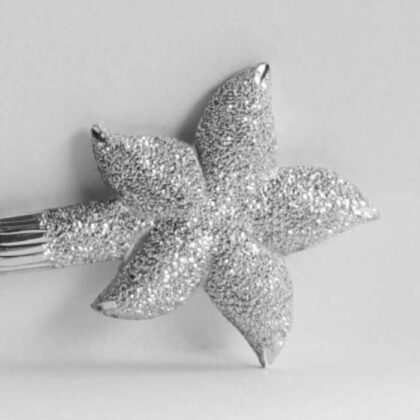 Spillone per capelli Stella Marina: porta un ricordo di mare nella tua acconciatura con questo fermacapelli in alluminio! | Shadi | shadialfazaa.com